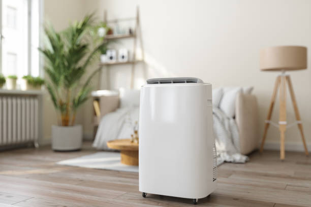Best Furnace Cleaning in Nokomis, FL